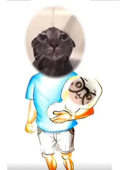 papa