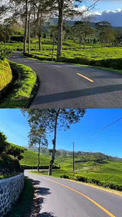 2 video layout