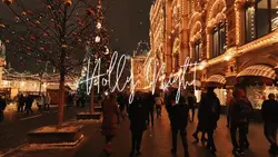 Holly Night