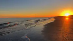 Vibes sunset