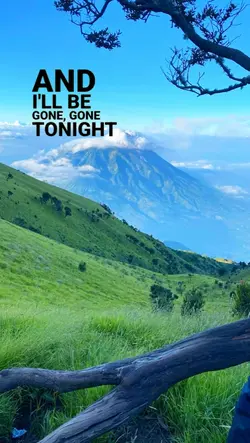 story my lifee