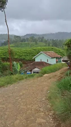 jalan rusak