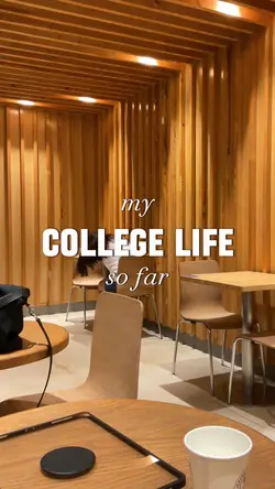 college life so far