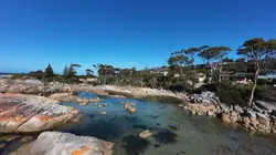 FPV drone Cinematic