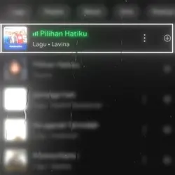 Pilihan hatiku