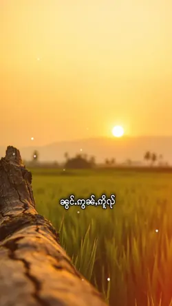 သႂ်ႇၶႅပ်းႁၢင်ႈသူ 1