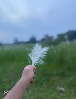 Hea
