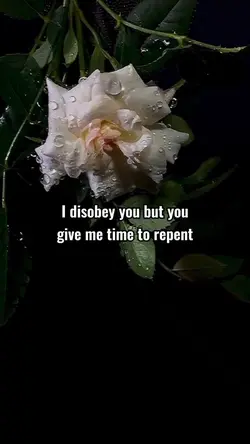 Islamic poetry