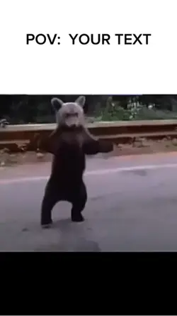 Memes !