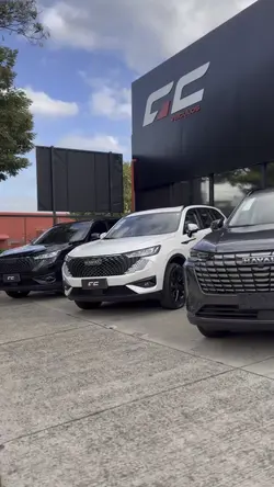 Haval