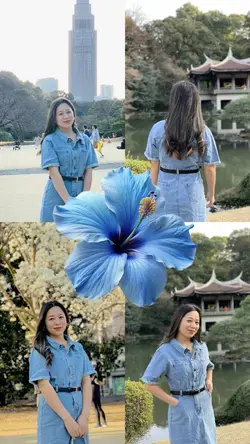 Blue lover