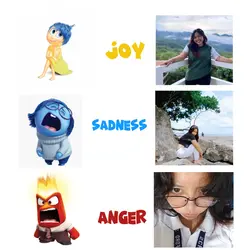 MY 3 EMOTIONS