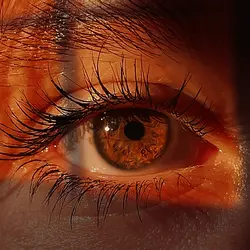 Eye filter 