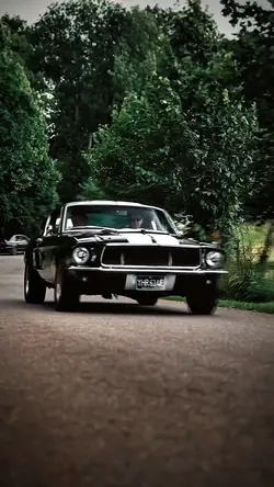 ✨ CLASSIC ✨