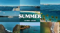 Summer Dump