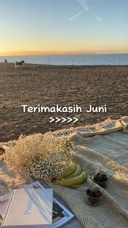 Terimakasih Juni