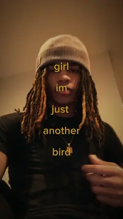 Just a bird 