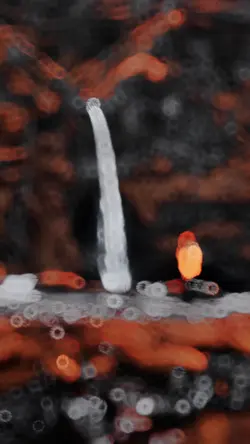 New Slow Motion 