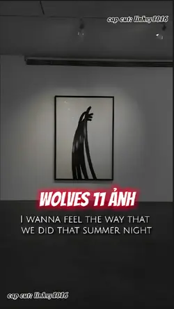 Wolves 11 ảnh