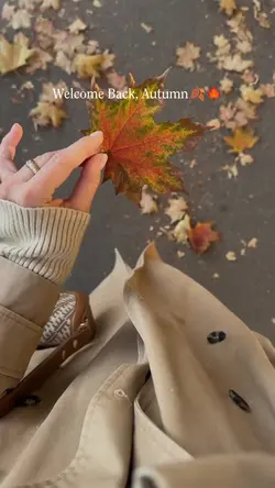 Welcome back, Autumn