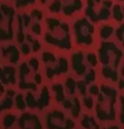 ⊹₊˚‧︵‿₊୨ᰔ୧₊‿︵‧˚₊⊹