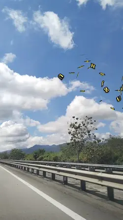 UNTUKMU HIJAU KUNING