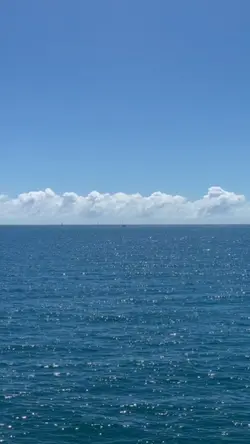 Vacation recap
