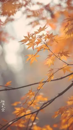 18ảnh