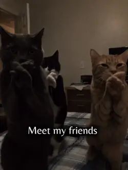 Meet my friends