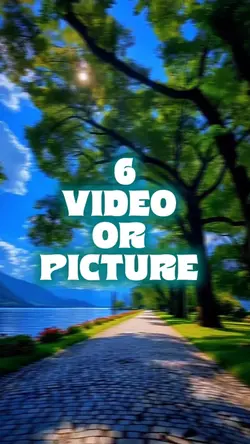 6 video new template