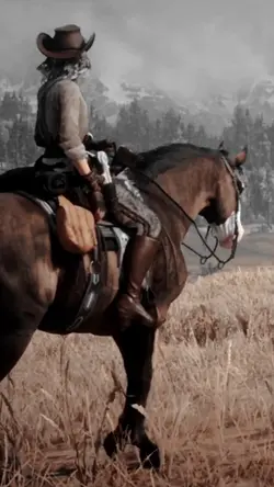 RDR Montage 2.0