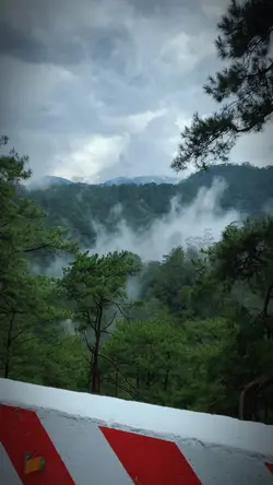 Mẫu clip nhẹ nhàng