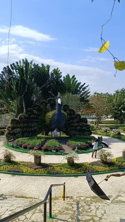 saksi ang langit