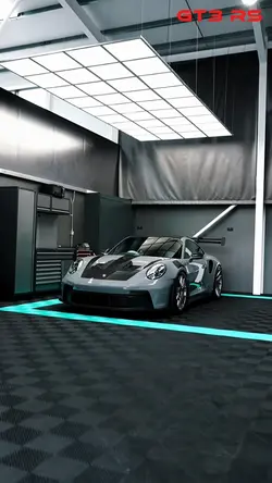 pORCHE
