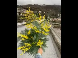 Festa della donna