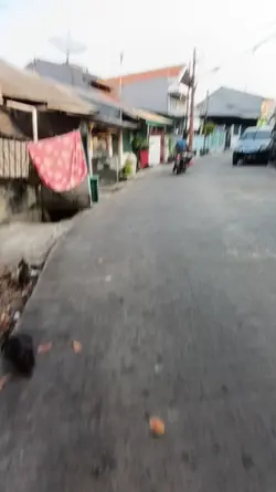 random video