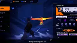 mẫu 1 video 