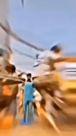 Phim