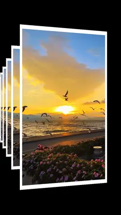 12 video or photo