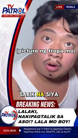 Nanggahasa ng Aso!?