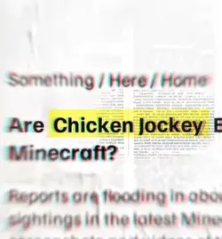 STEVE EDIT