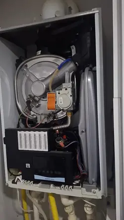vaillant
