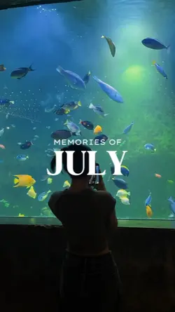 MEMORIES OF JULY