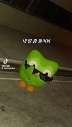 영상 나눔