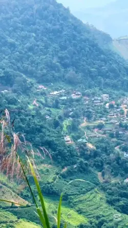 Mẫu H'mông 