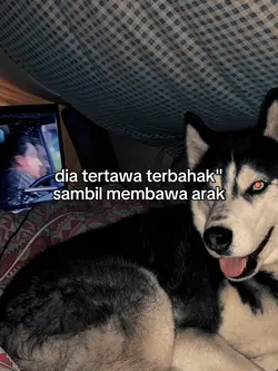 membawa arak