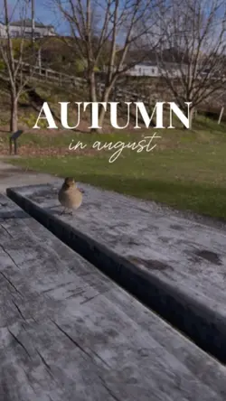 autumn In august