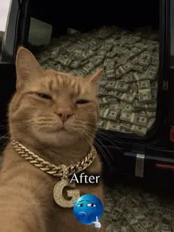 Before after 