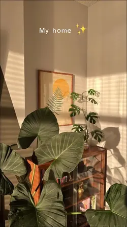 My sweet home