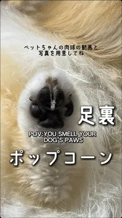 肉球ポップコーン